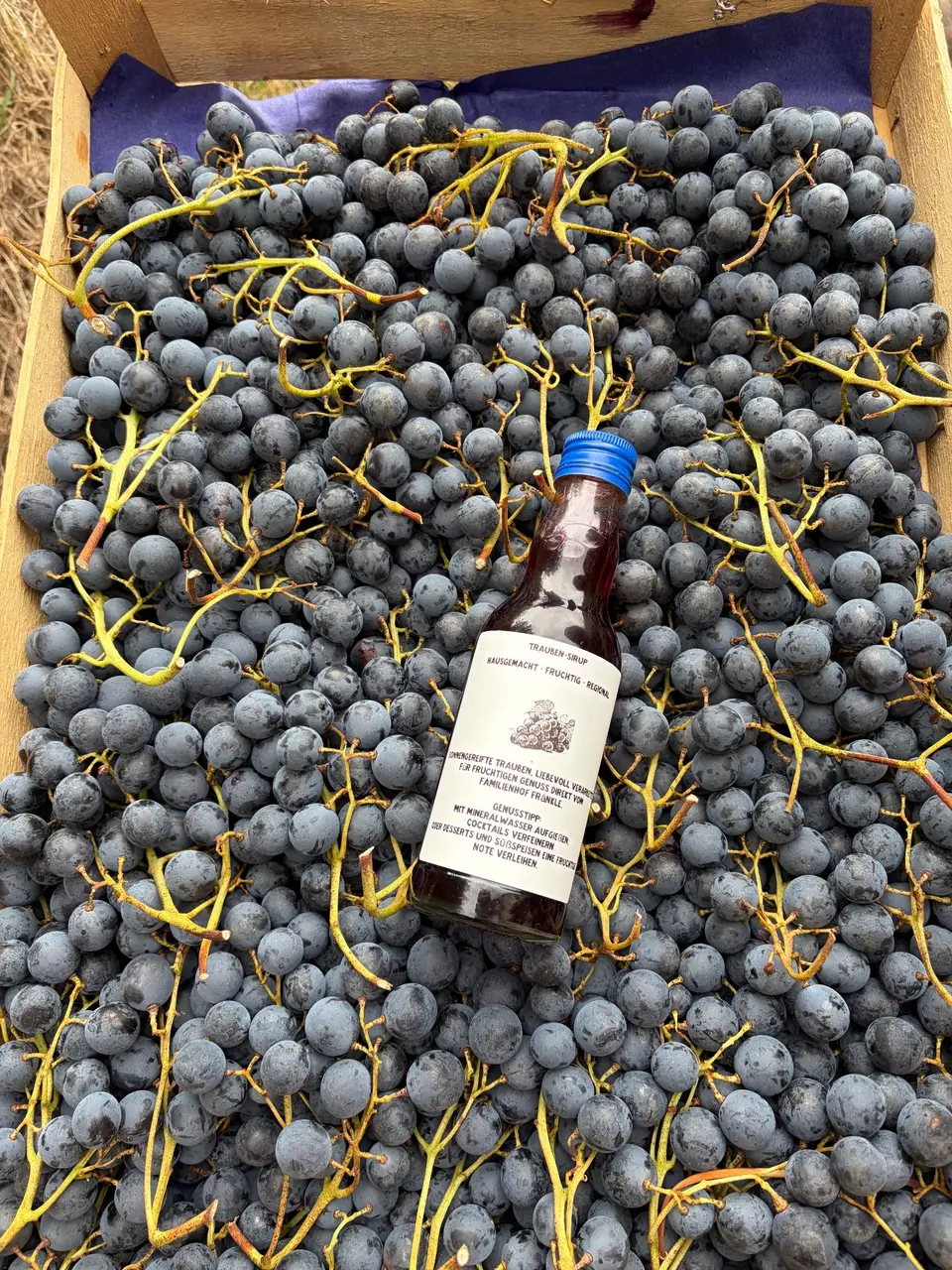 Trauben Sirup Rot